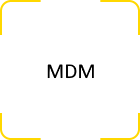 03- MDM